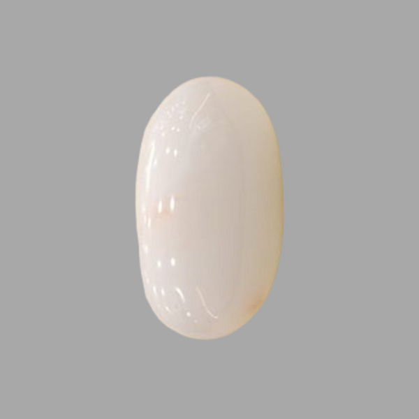 Natural White Coral: The Symbol of Peace and Strength Summary No IGCDKBAJ41479 image 1