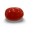 Natural Red Coral | Certified | Oval Cut Gemstone Summary No. IGCDKBAJ57885 image 0