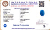 Natural Turquoise | IGC Certified | Oval Cabochon | Sea Blue Certification Number: IGCDKBAJ41404 image 0