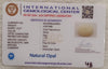 Natural White Opal 4.83 Ratti| Oval Cabochone | Certified No. IGCDKBAJ42955 image 2