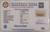Natural White Opal 4.17 Ratti| Oval Cabochone | Certified No. IGCDKBAJ42946 image 2