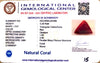 Natural Italian Red Coral | Certified Triangular Cabochon Moonga | Untreated Gemstone IGCDKBAJ42466 image 1