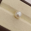 Natural South Sea Pearl – A Symbol of Elegance & Purity Summary No IGCDKBAJ42605 image 1