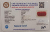 Natural Red Coral | Certified |Capsule Cut Gemstone Summary No. IGCDKBAJ44952 image 2