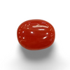 NaturalRed Coral | Certified| Oval CutGemstone Summary No. IGCDKBAJ46133 image 0