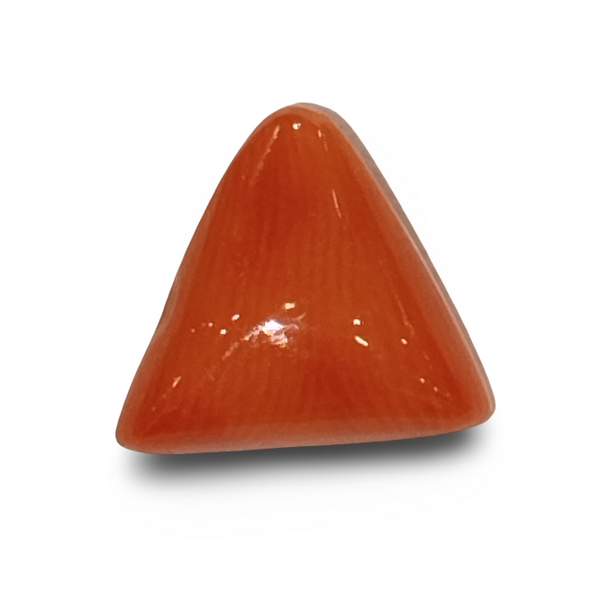 Natural Italian Red Coral | Certified Triangular Cabochon Moonga | Untreated Gemstone IGCDKBAJ42369 image 0