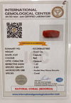 Natural Red Coral | Certified | Capsule Cut Gemstone Summary No. IGCDKBAJ57882 image 2