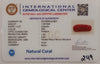 NaturalRed Coral | Certified| Capsule CutGemstone Summary No. IGCDKBAJ44861 image 2