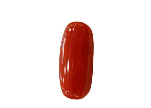 Natural Red Coral | Certified | Capsule Cut Gemstone Summary No. IGCDKBAJ57880 image 1