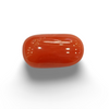NaturalRed Coral | Certified| Oval CutGemstone Summary No. IGCDKBAJ47488 image 0