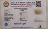 Natural White Opal 6.00Ratti| Oval Cabochone | Certified No. IGCDKBAJ42970 image 2