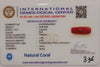NaturalRed Coral | Certified|Capsule CutGemstone Summary No. IGCDKBAJ44945 image 2