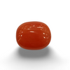 NaturalRed Coral | Certified| Oval CutGemstone Summary No. IGCDKBAJ48754 image 0