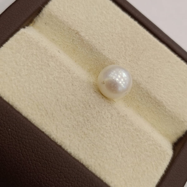 Natural South Sea Pearl – A Symbol of Elegance & Purity Summary No IGCDKBAJ42655 image 1