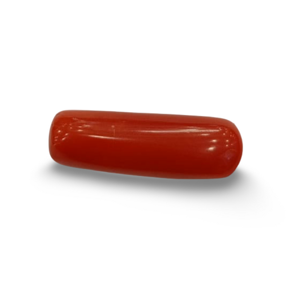 NaturalRed Coral | Certified|Capsule CutGemstone Summary No. IGCDKBAJ44962 image 0
