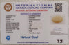 Natural White Opal 6.00 Ratti | Oval Cabochon | Certified No. IGCDKBAJ42966 image 2