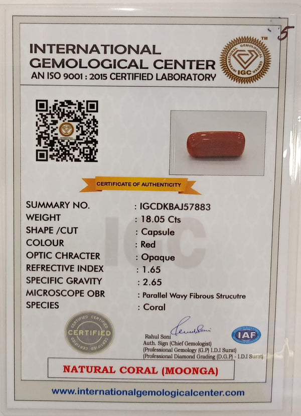Natural Red Coral | Certified | Capsule Cut Gemstone Summary No. IGCDKBAJ57883 image 2