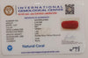 NaturalRed Coral | Certified| Capsule CutGemstone Summary No. IGCDKBAJ44860 image 2