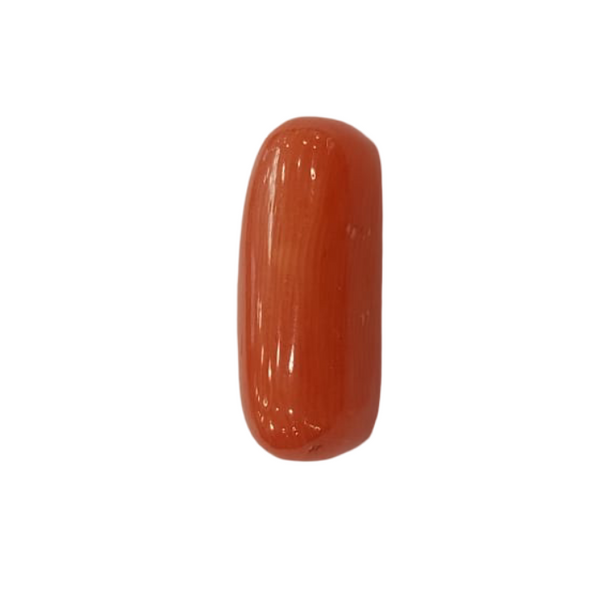 Natural Red Coral | Certified |Capsule Cut Gemstone Summary No. IGCDKBAJ44983 image 1