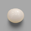Natural White Coral: The Symbol of Peace and Strength Summary No IGCDKBAJ41478 image 0