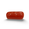 NaturalRed Coral | Certified| Capsule CutGemstone Summary No. IGCDKBAJ44860 image 0