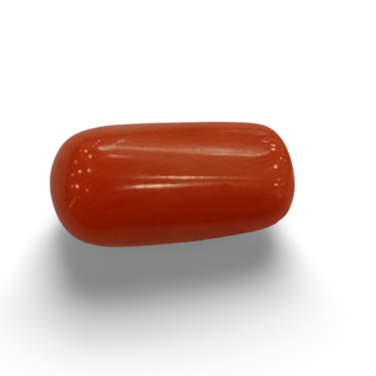 Natural Red Coral | Certified | Oval Cut Gemstone Summary No. IGCDKBAJ44883 image 0