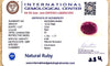 Natural Ruby | Certified Oval Cut Red Corundum Gemstone Certificate No.: IGCDKBAJ44845 image 2
