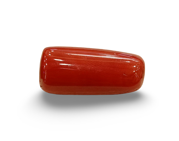 Natural Red Coral | Certified | Capsule Cut Gemstone Summary No. IGCDKBAJ57883 image 0