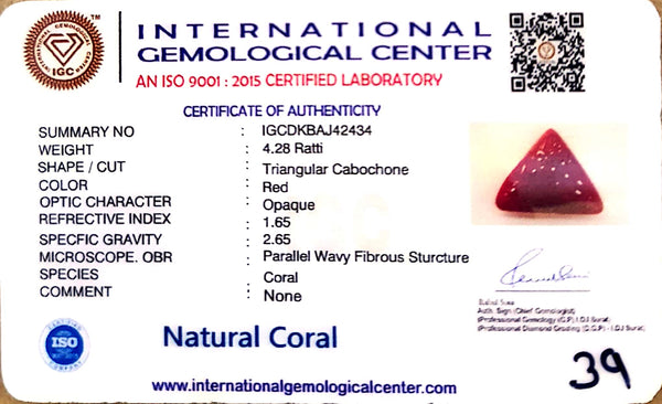Natural Italian Red Coral | Certified Untreated | Triangular Cabochon No. IGCDKBAJ42434 image 1