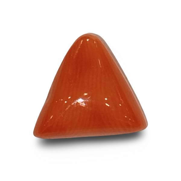Natural Italian Red Coral | Certified Triangular Cabochon Moonga | Untreated Gemstone IGCDKBAJ42397 image 0