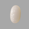 Natural White Coral: The Symbol of Peace and Strength Summary No IGCDKBAJ41485 image 1