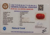 NaturalRed Coral | Certified| Oval CutGemstone Summary No. IGCDKBAJ44877 image 2