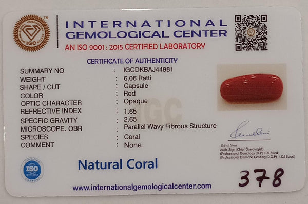 Natural Red Coral | Certified |Capsule Cut Gemstone Summary No. IGCDKBAJ44981 image 2