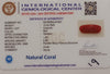 NaturalRed Coral | Certified|Capsule CutGemstone Summary No. IGCDKBAJ47487 image 2