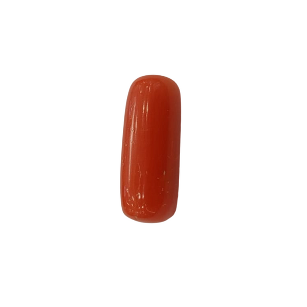 Natural Red Coral | Certified |Capsule Cut Gemstone Summary No. IGCDKBAJ44988 image 1