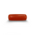 Natural Red Coral | Certified |Capsule Cut Gemstone Summary No. IGCDKBAJ44985 image 0