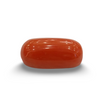 NaturalRed Coral | Certified| Oval CutGemstone Summary No. IGCDKBAJ44923 image 0