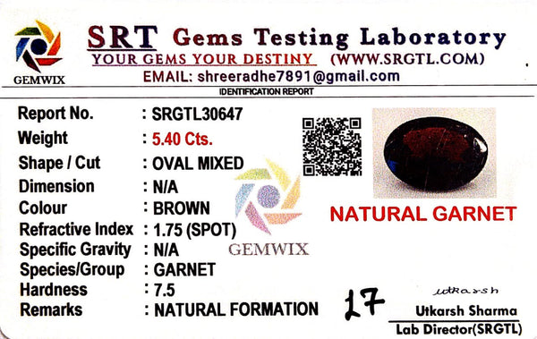 Natural Garnet Oval Mix SRT Certified No : SRGTL30647 image 2