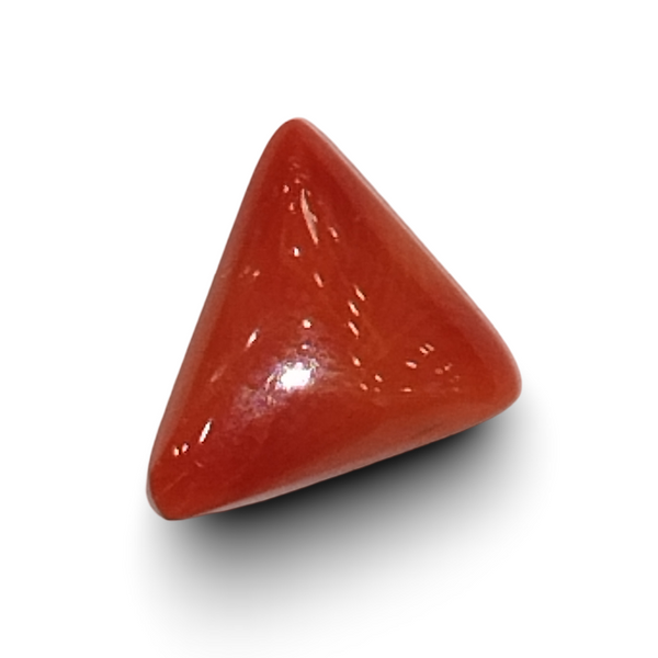 Natural Italian Red Coral | Certified Triangular Cabochon Moonga | Untreated Gemstone IGCDKBAJ42436 image 0