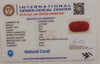 NaturalRed Coral | Certified| Oval CutGemstone Summary No. IGCDKBAJ44933 image 2