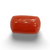 NaturalRed Coral | Certified| Oval CutGemstone Summary No. IGCDKBAJ44936 image 0