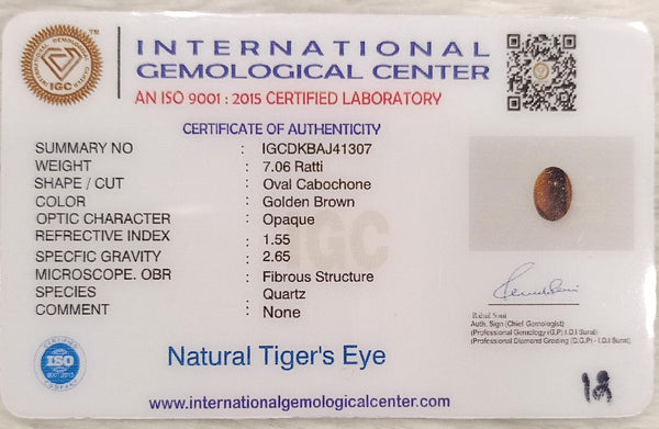 Tiger Eye The Essence of Grounding and Strength Summary No IGCDKBAJ41307 image 2