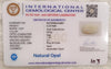Natural White Opal 5.22Ratti| Oval Cabochone| Certified No. IGCDKBAJ42991 image 2