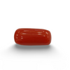 Natural Red Coral | Certified |Capsule Cut Gemstone Summary No. IGCDKBAJ44859 image 0