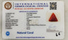 IGC certificate of authenticity - IGCDKBAJ42444