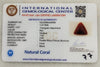 IGC certificate of authenticity - IGCDKBAJ42458