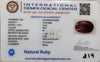 Natural Ruby | Oval Cut | IGC Certified No.: IGCDKBAJ44825 image 2