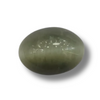 Natural Cat's Eye (Lehsunia) | 2H00 | Oval Cabochon | IGC Certified | Report No. SRGTL96614