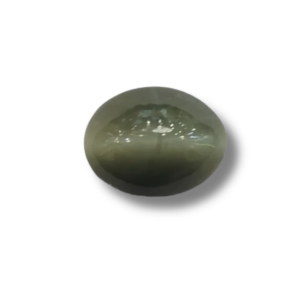 Natural Cat's Eye (Lehsunia) | 2H00 | Oval Cabochon | IGC Certified | Report No. SRGTL96641