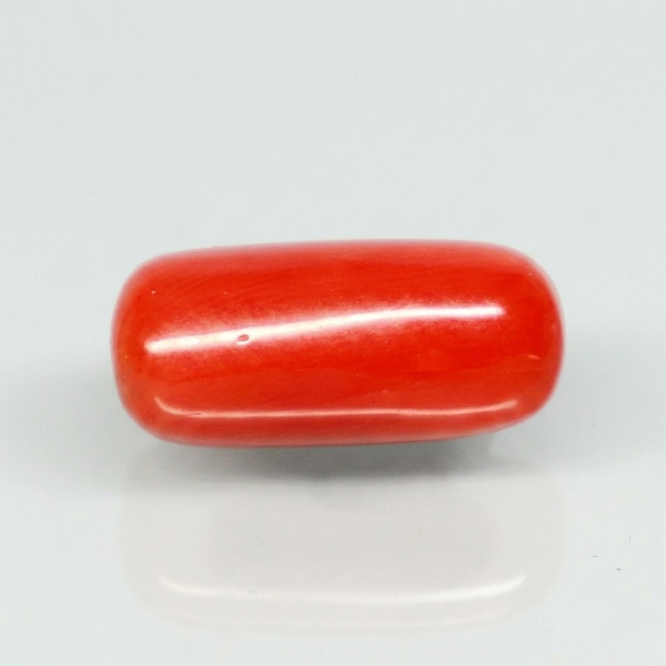 Natural Red Italian Coral |6H50| Cylindrical Specimen| Govt. Lab Certified | Report No. 12675D51970